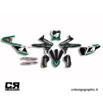 Kit grafiche Triumph TF Trophy - immagine 2
